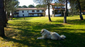 Artenatura BeB Terranuova Bracciolini
